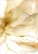 beige_watercolor_2.webp