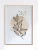 plant_zlota_ramka_857x1100.webp