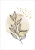 Plant_ramka.webp
